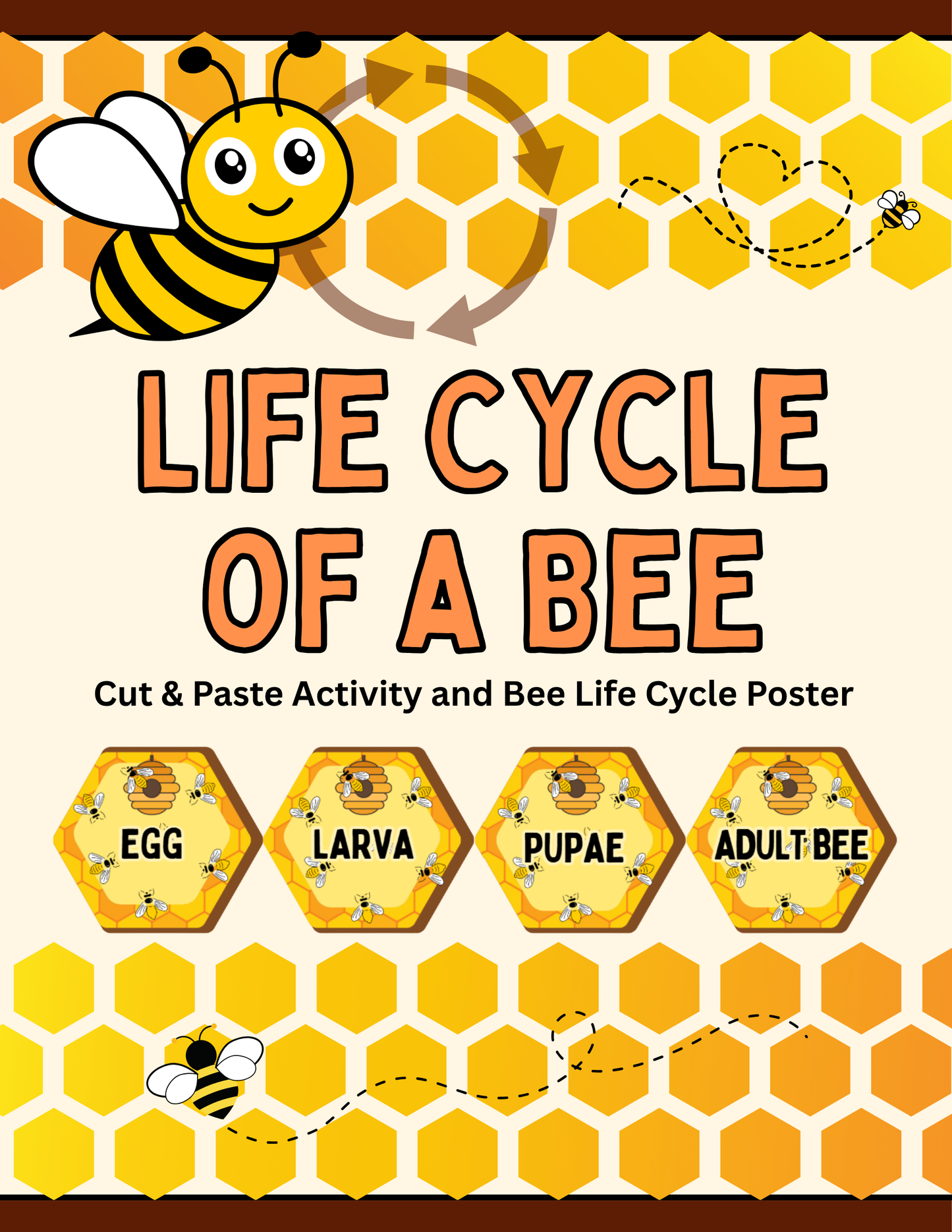 Bee Life Cycle – One-Page Educational Worksheet + Poster