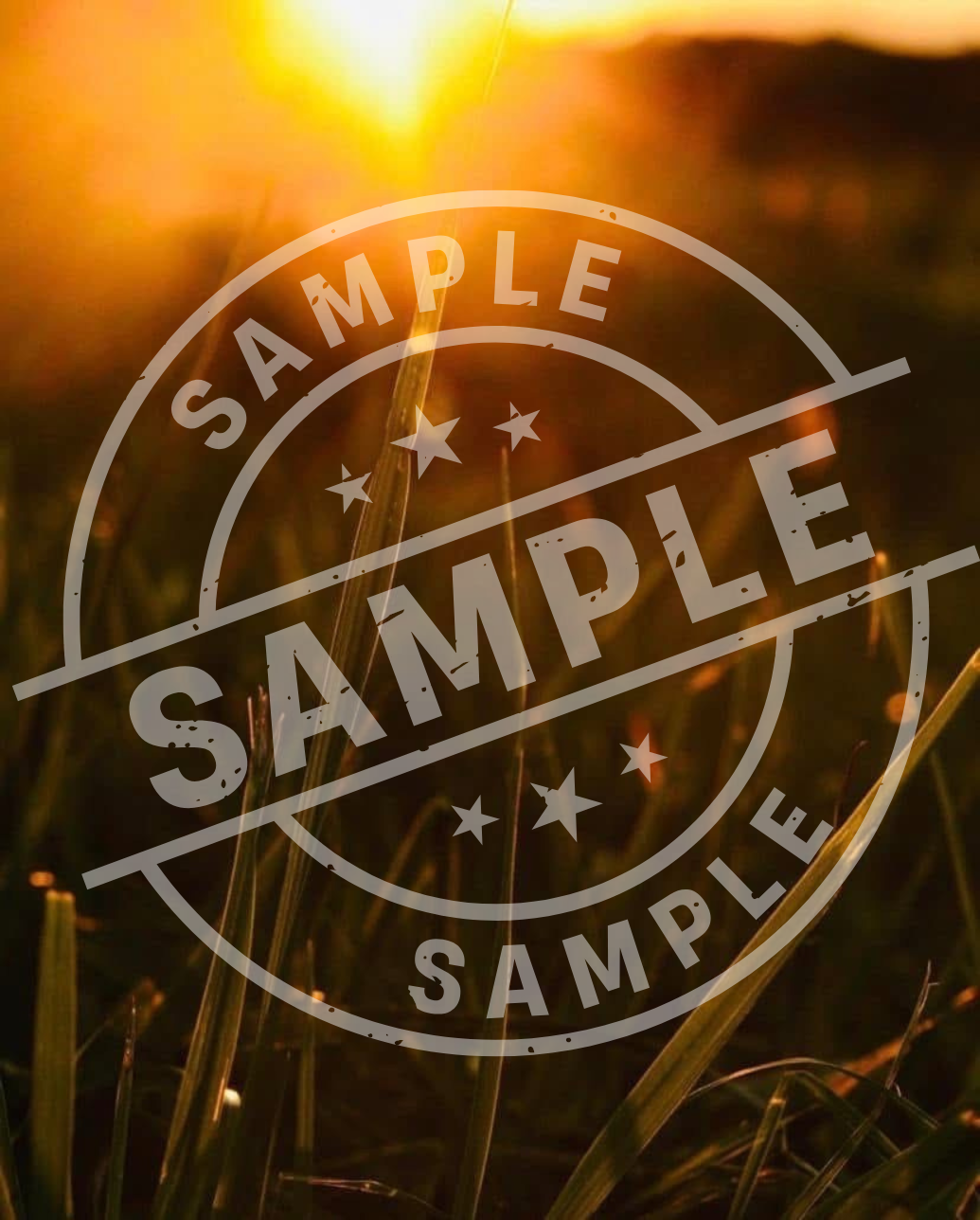 Chasing Sunsets – 4-Piece Digital Art Bundle