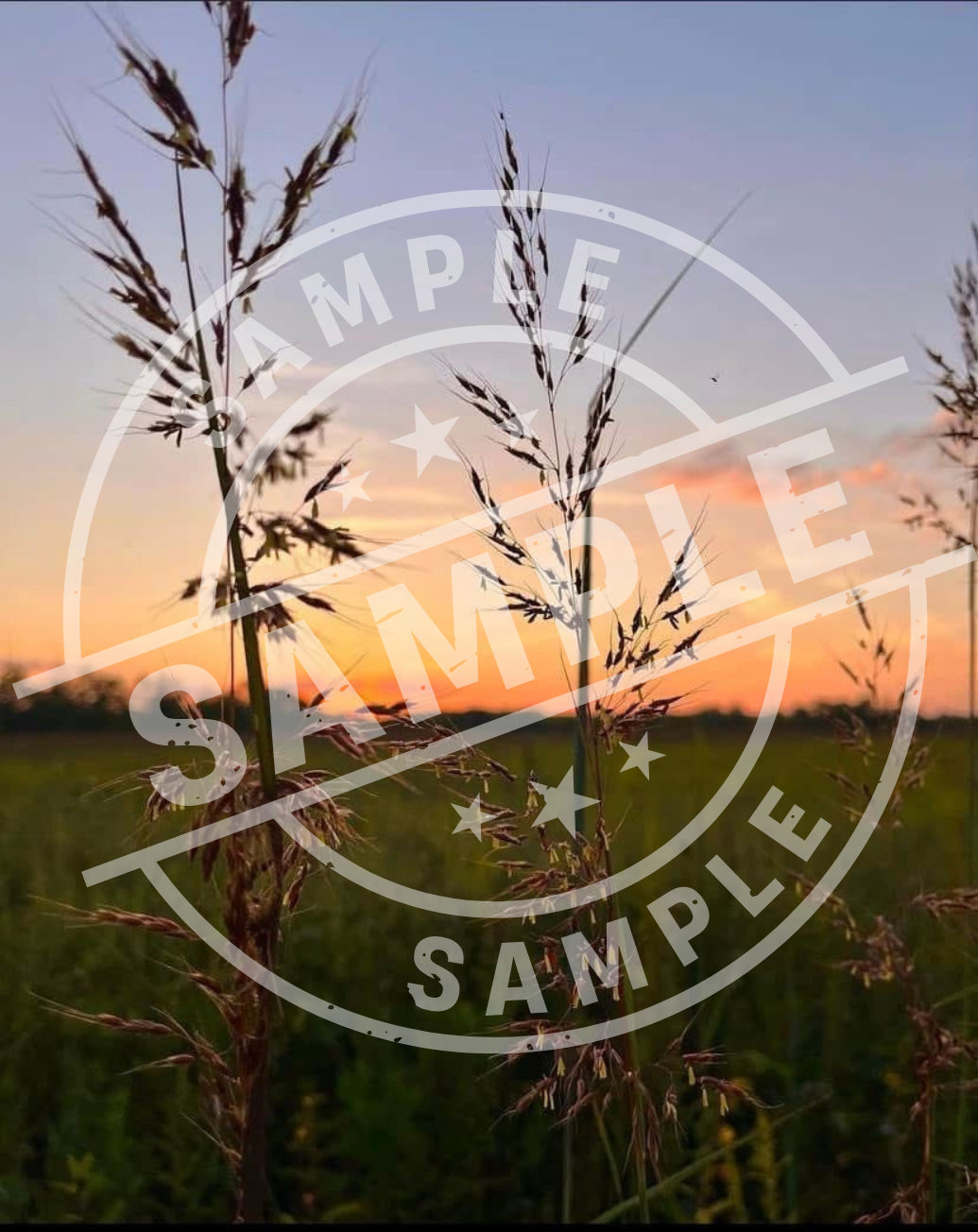 Chasing Sunsets – 4-Piece Digital Art Bundle