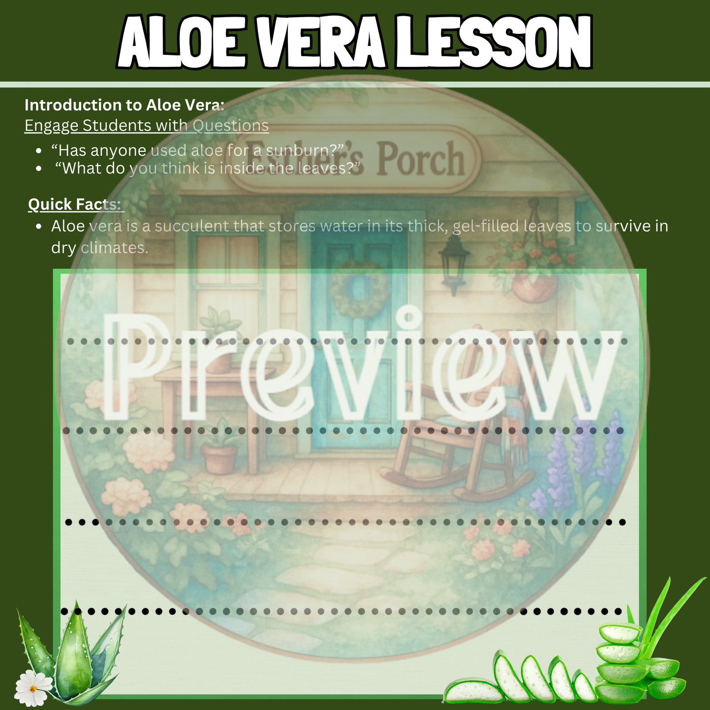 The Amazing Aloe Plant Lesson