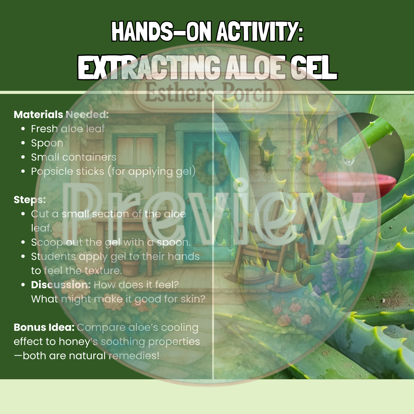 The Amazing Aloe Plant Lesson