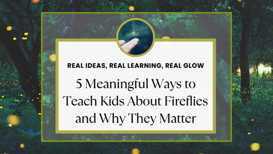 5 Meaningful Ways to Teach Kids About Fireflies and Why They Matter