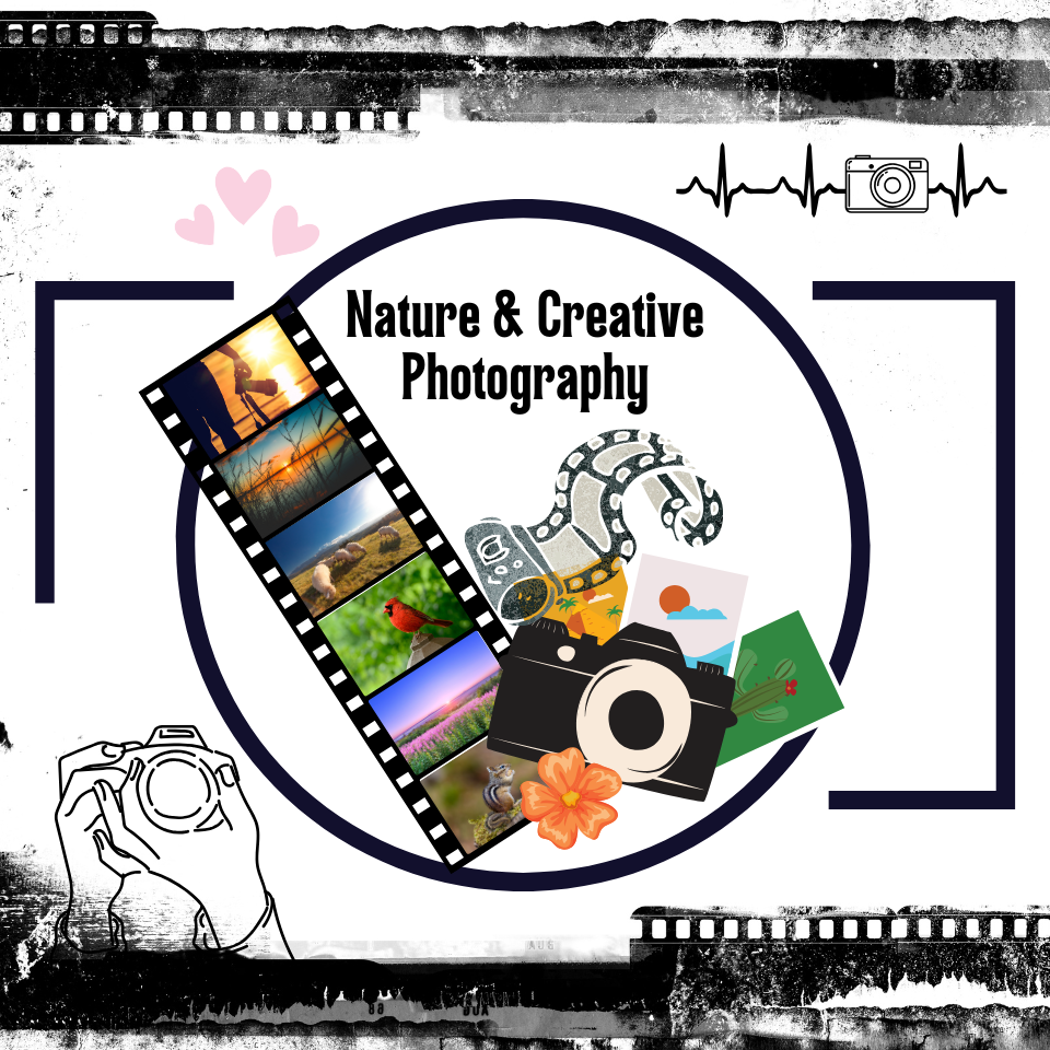Nature & Creative Photography