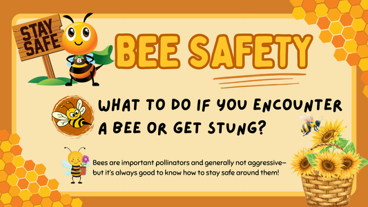 Bee Safety Guide