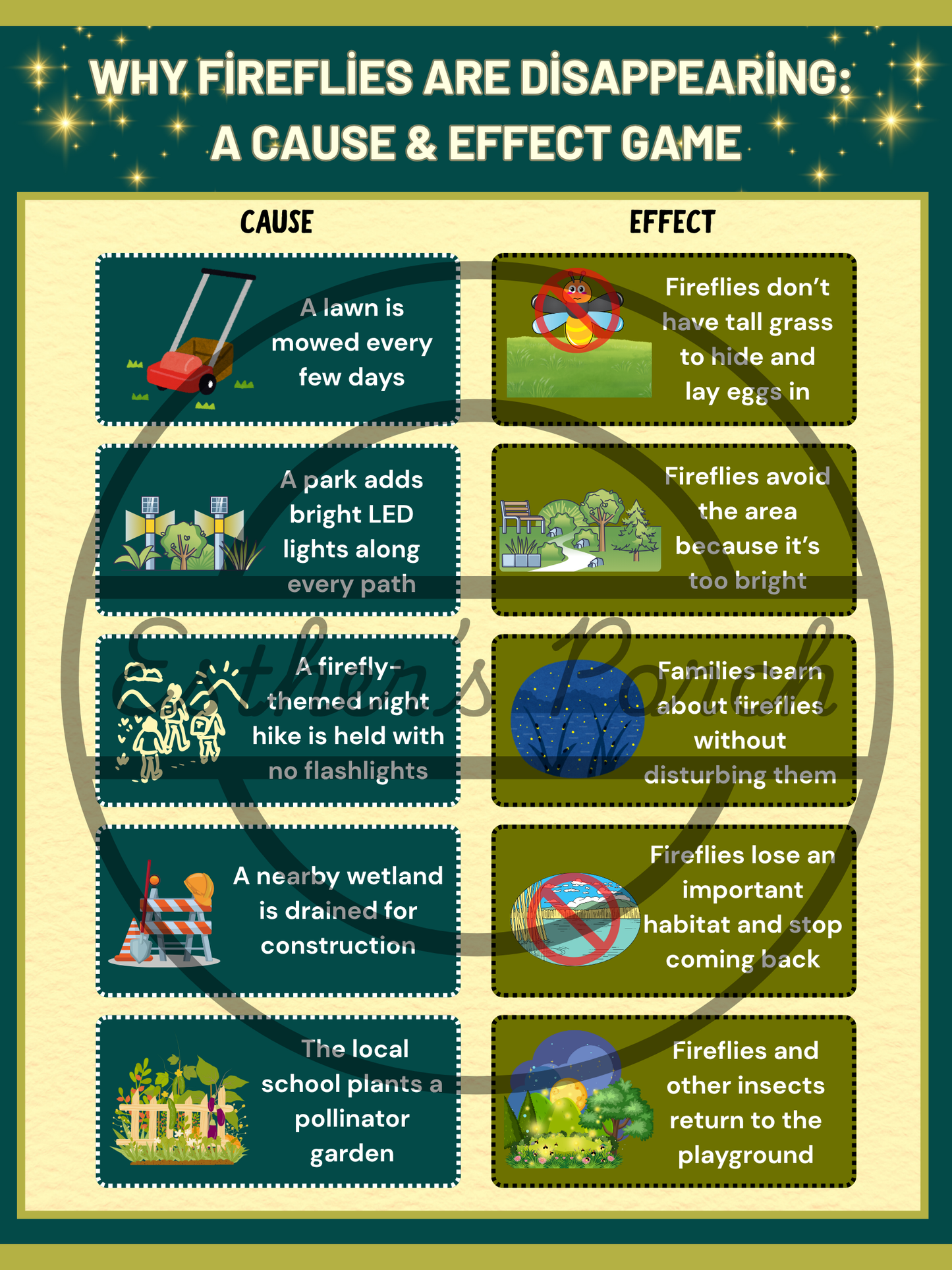 Firefly Learning Bundle – Posters, Habitat, Activities & Fun Facts