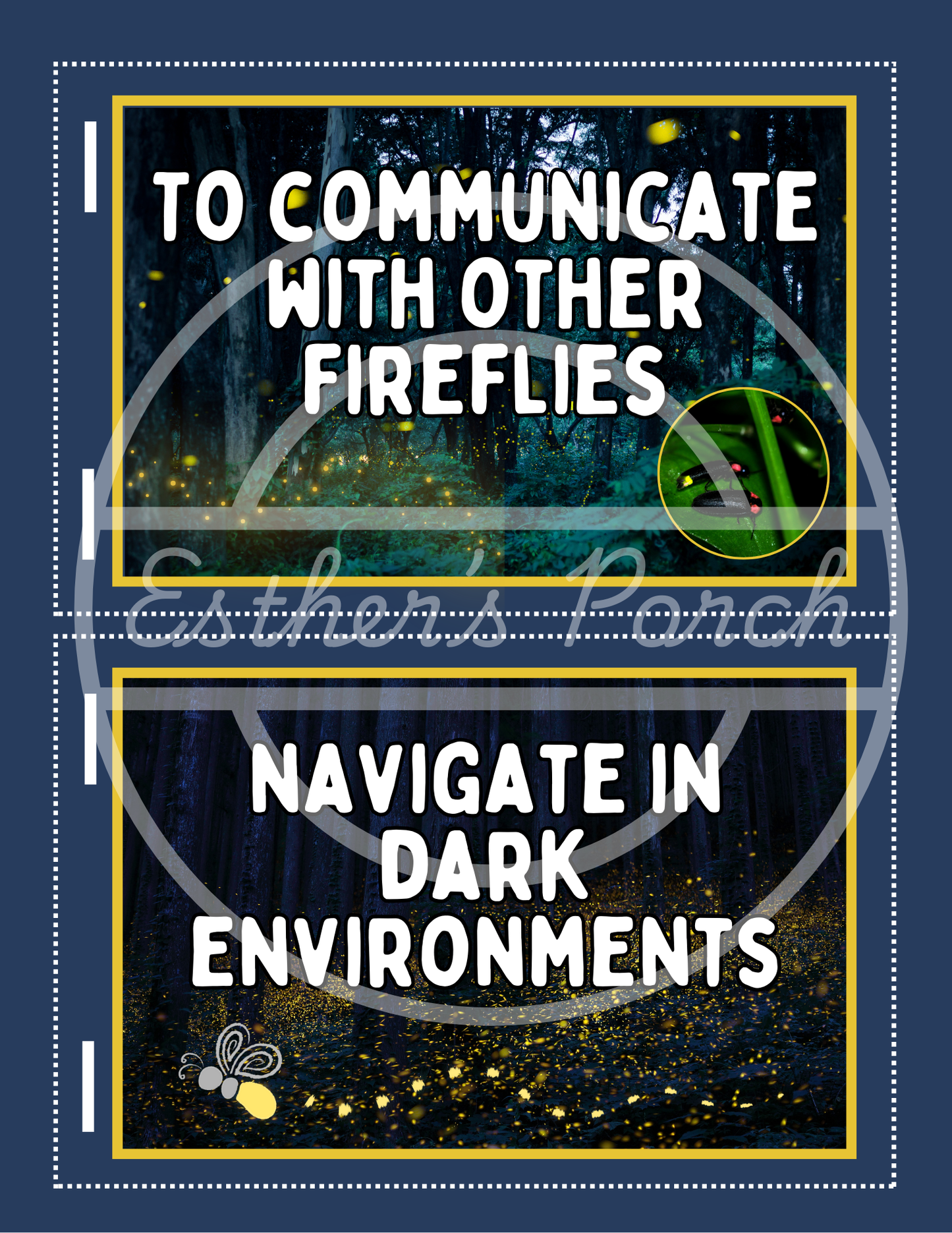 Firefly Learning Bundle – Posters, Habitat, Activities & Fun Facts