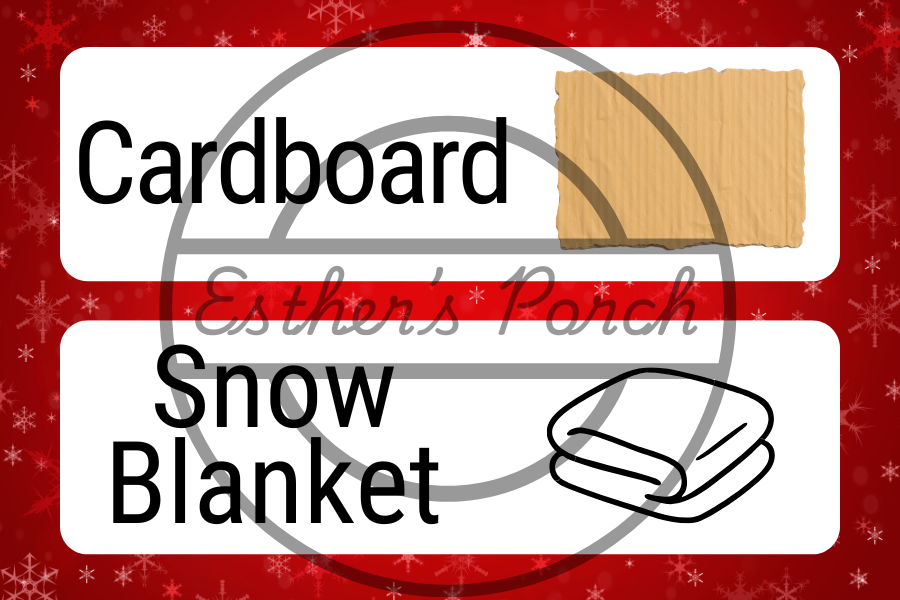 Home Alone–Inspired STEM & Building Center Lesson