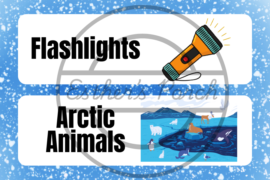 Inspired Lesson Plan: How to Catch a Yeti