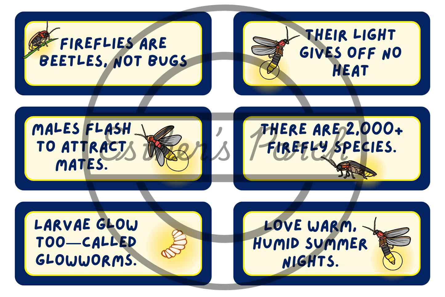 Firefly Learning Bundle – Posters, Habitat, Activities & Fun Facts