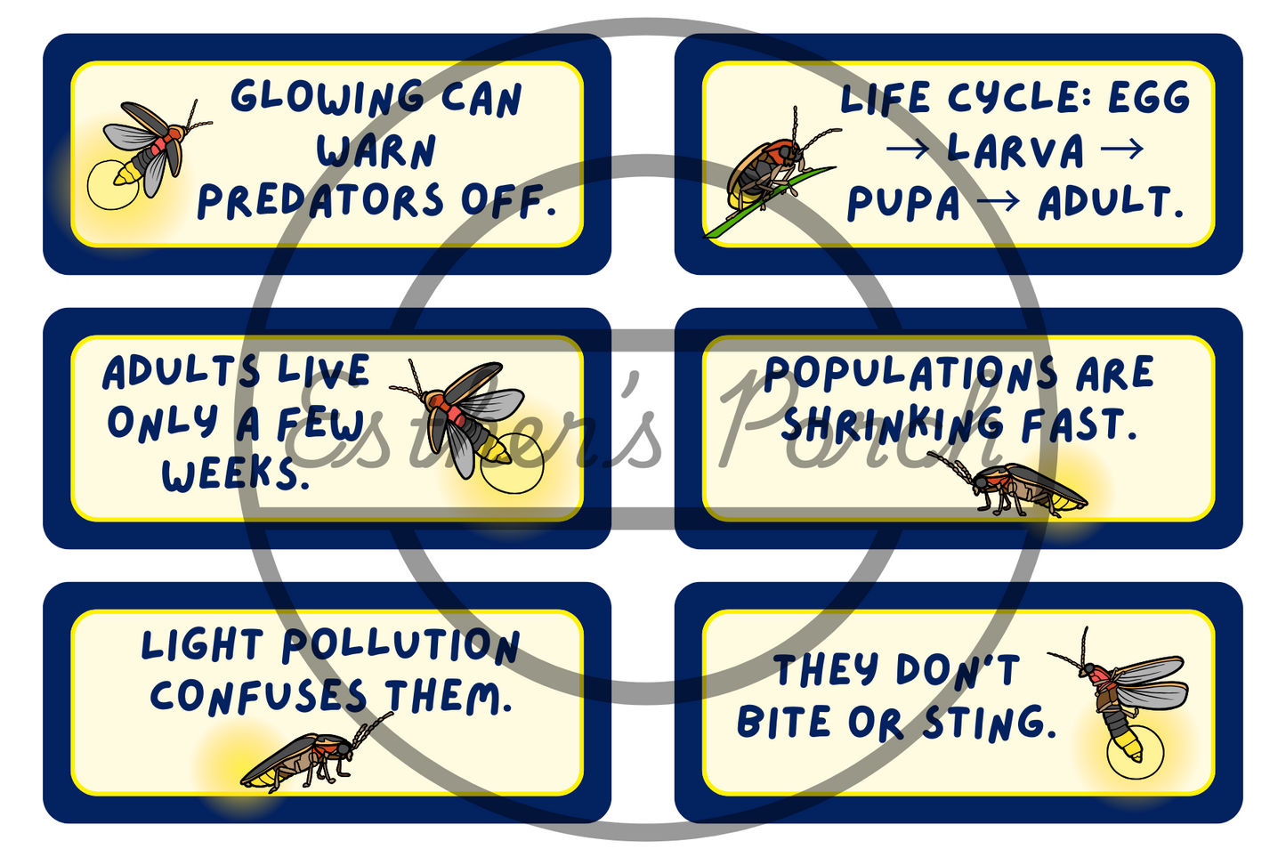Firefly Learning Bundle – Posters, Habitat, Activities & Fun Facts