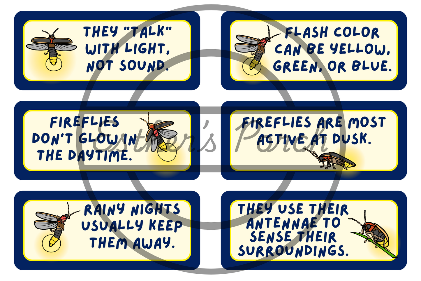 Firefly Learning Bundle – Posters, Habitat, Activities & Fun Facts