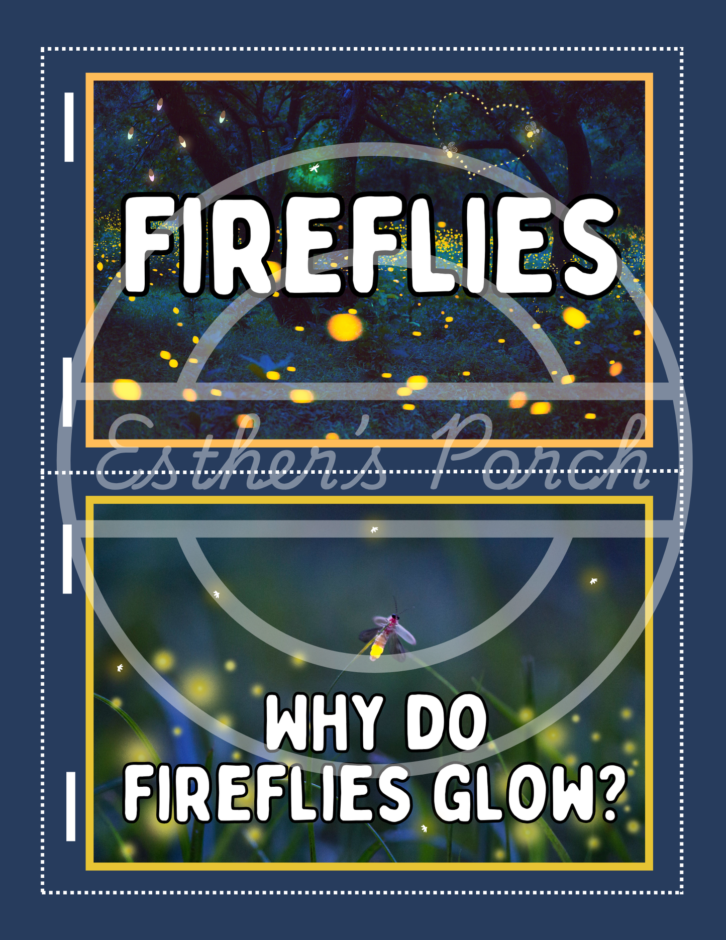 Firefly Learning Bundle – Posters, Habitat, Activities & Fun Facts