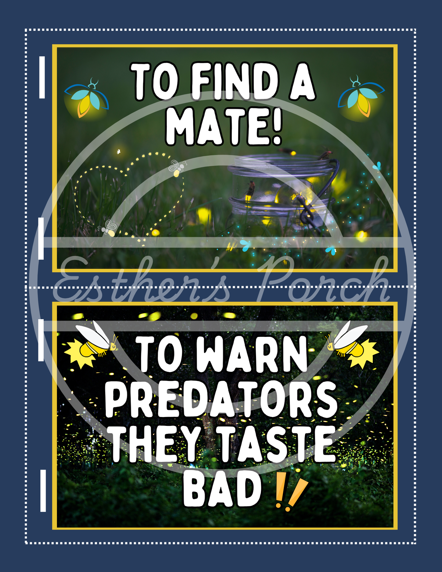 Firefly Learning Bundle – Posters, Habitat, Activities & Fun Facts