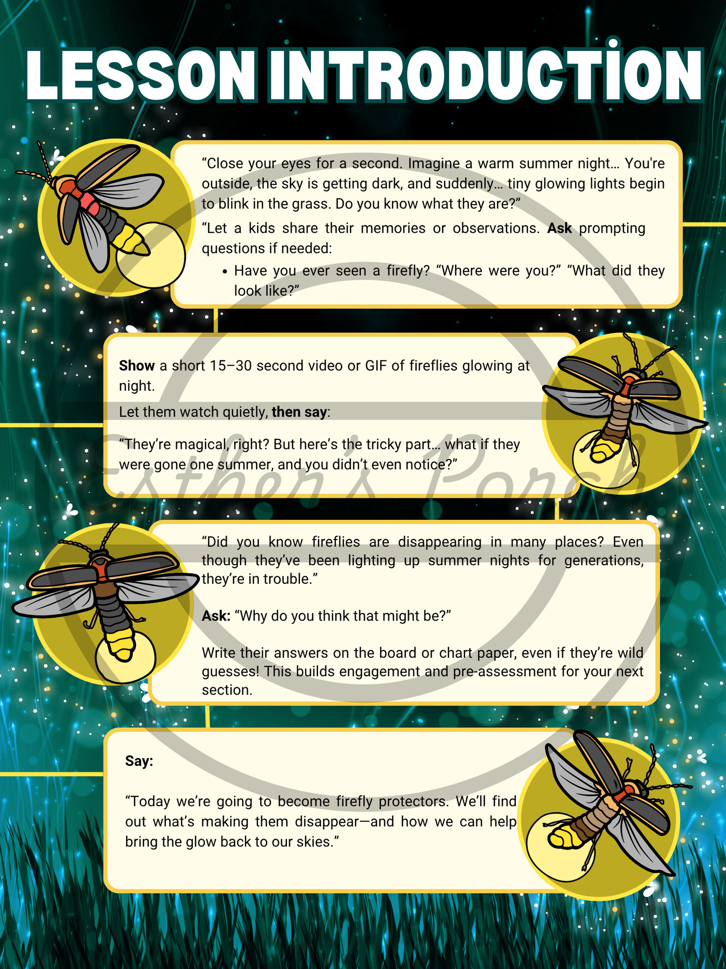 Firefly Learning Bundle – Posters, Habitat, Activities & Fun Facts