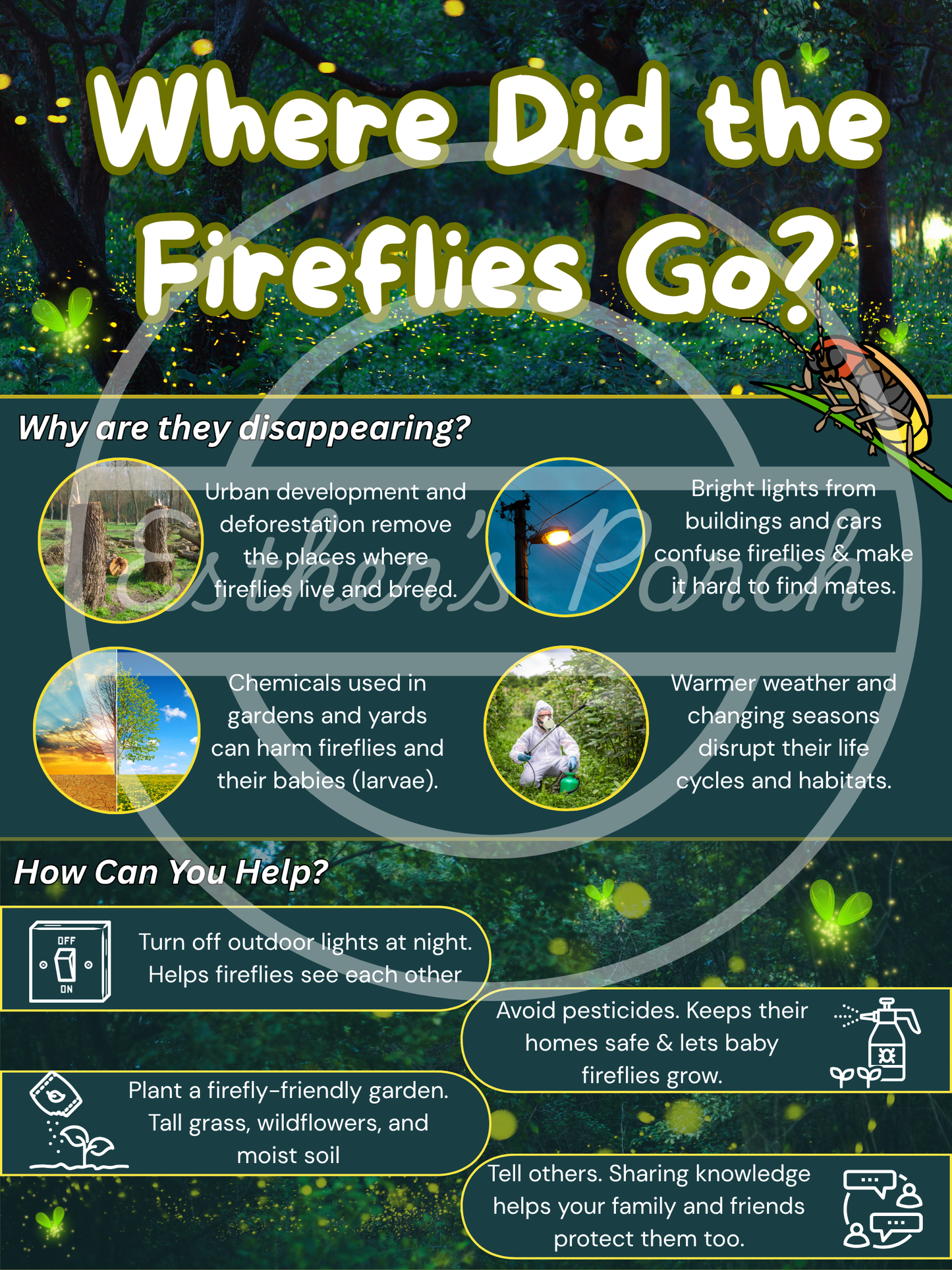 Firefly Learning Bundle – Posters, Habitat, Activities & Fun Facts
