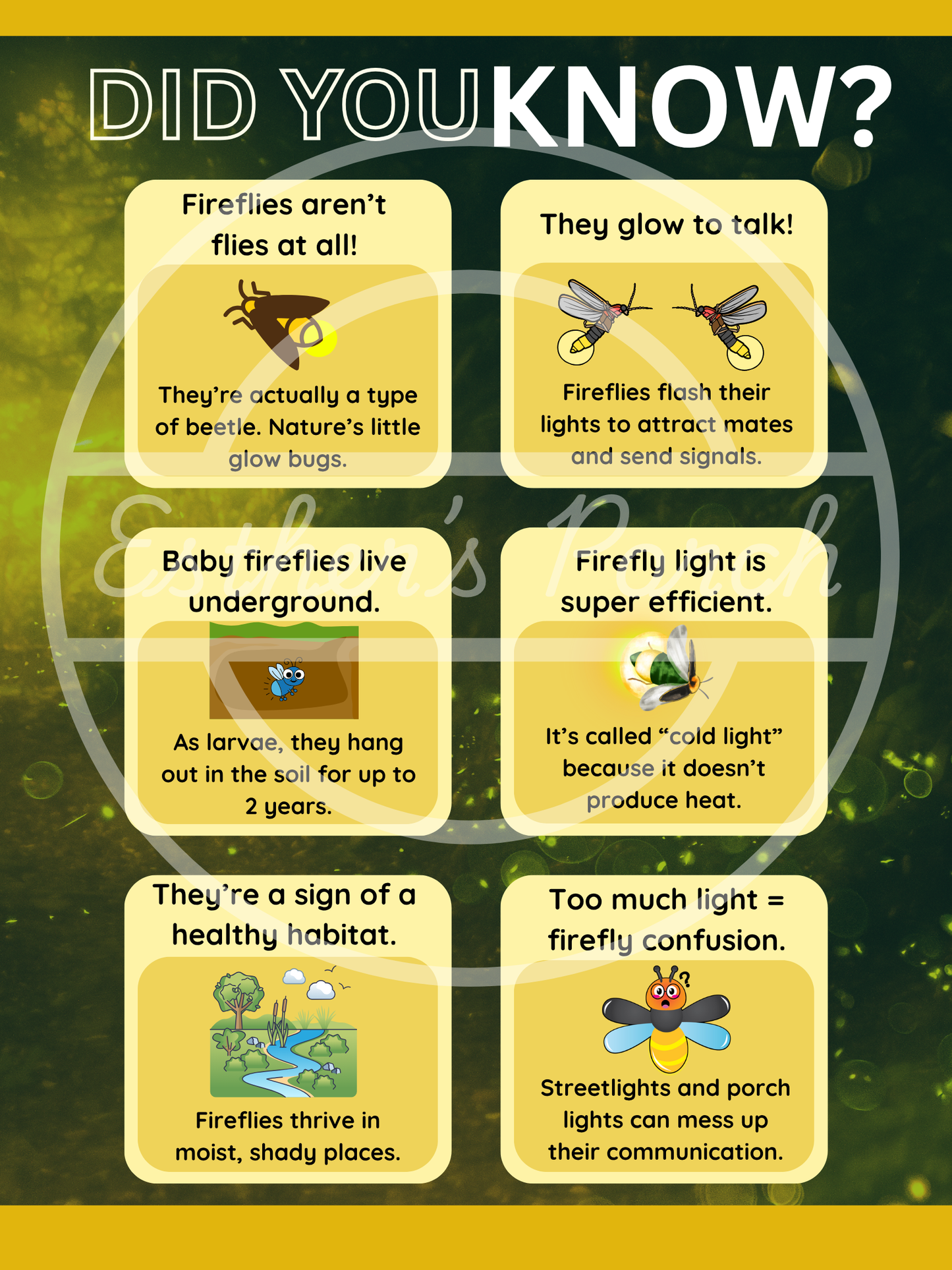 Firefly Learning Bundle – Posters, Habitat, Activities & Fun Facts