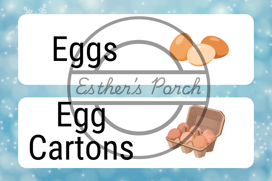 Chicken Coop Chaos Christmas Inspired - Dramatic Play Lesson