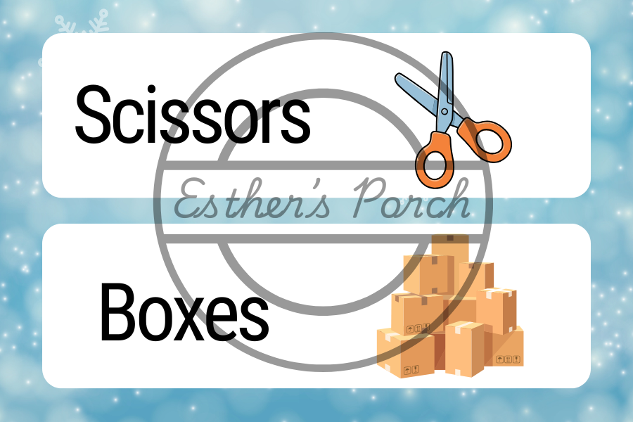 Chicken Coop Chaos Christmas Inspired - Dramatic Play Lesson