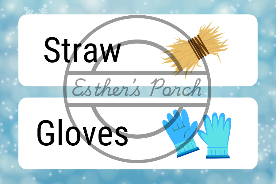 Chicken Coop Chaos Christmas Inspired - Dramatic Play Lesson