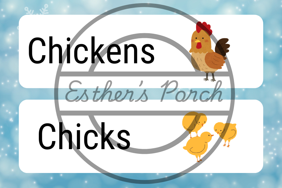 Chicken Coop Chaos Christmas Inspired - Dramatic Play Lesson
