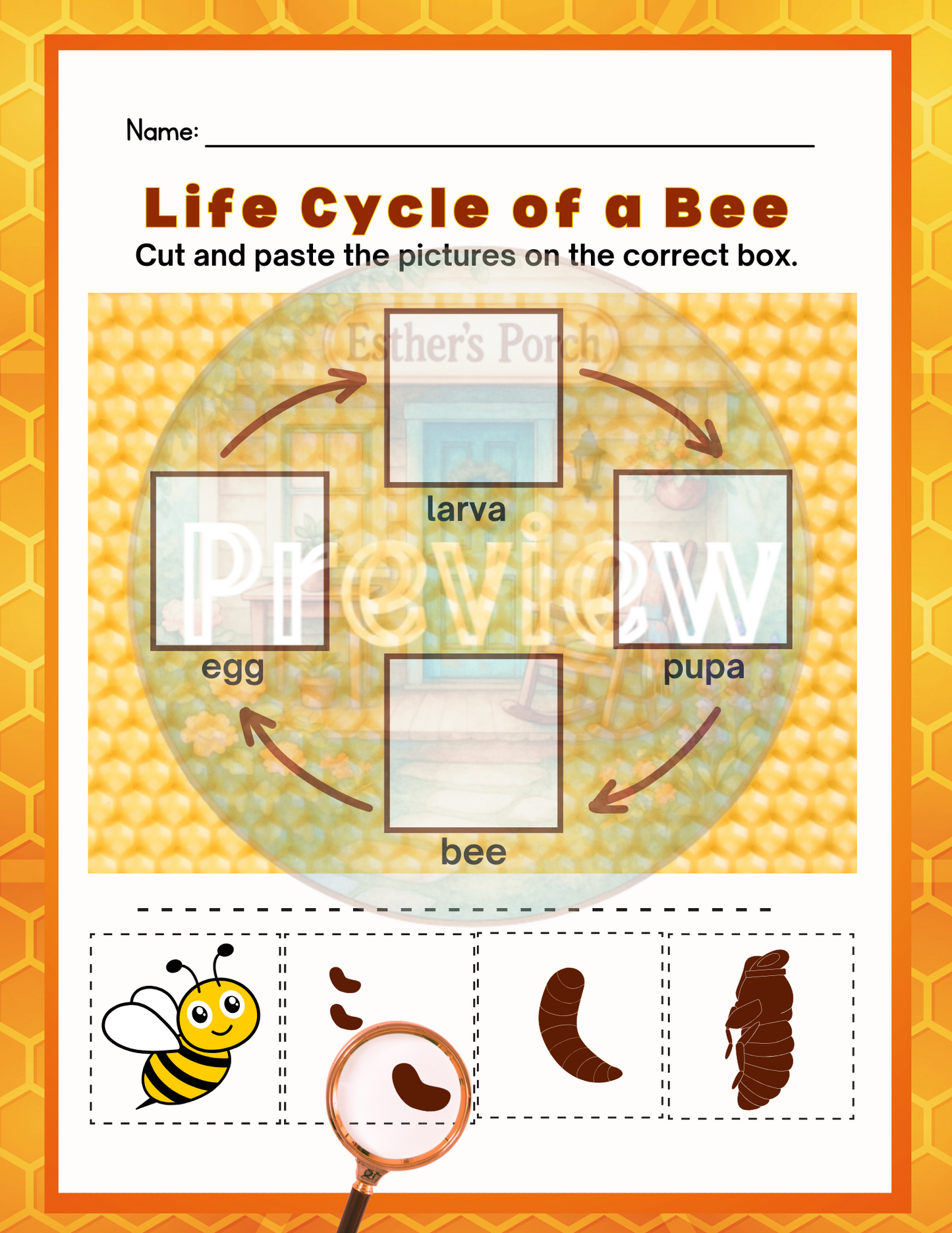 The Secret Life of Bees:  A Learning Journey - K–2 (Early Elementary)